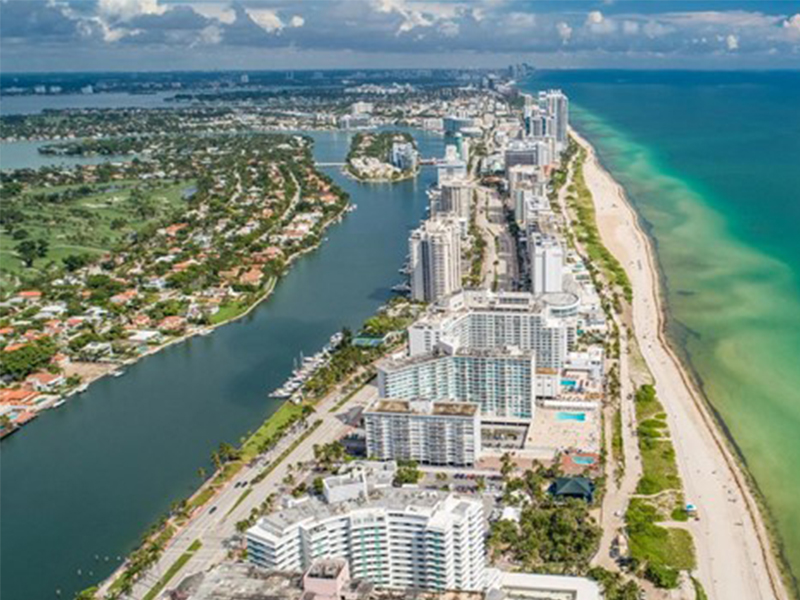 Miami's Magnificent Eight 4